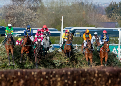 Noble Yeats and Grand National runner jumping a fence.